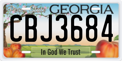 GA license plate CBJ3684