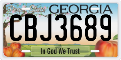 GA license plate CBJ3689