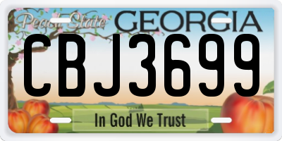 GA license plate CBJ3699
