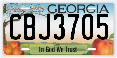 GA license plate CBJ3705