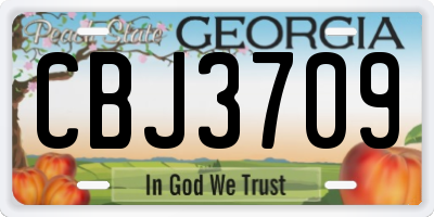 GA license plate CBJ3709