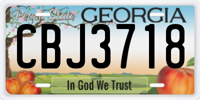 GA license plate CBJ3718