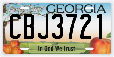 GA license plate CBJ3721