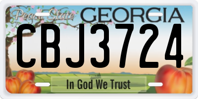 GA license plate CBJ3724