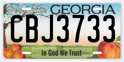 GA license plate CBJ3733