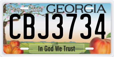 GA license plate CBJ3734