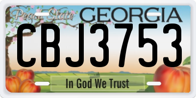 GA license plate CBJ3753