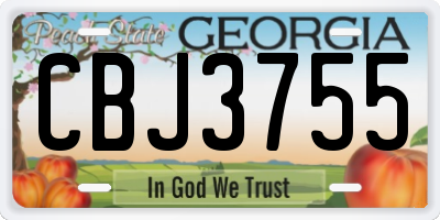 GA license plate CBJ3755