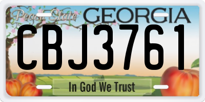 GA license plate CBJ3761