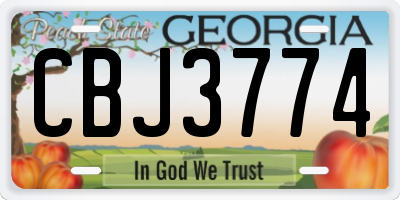 GA license plate CBJ3774