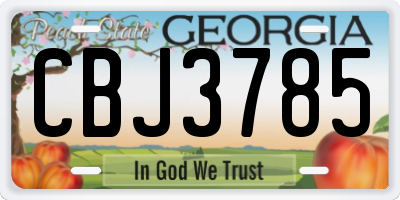 GA license plate CBJ3785