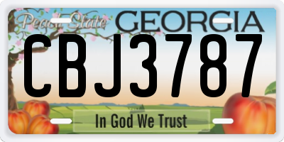 GA license plate CBJ3787