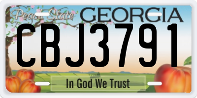 GA license plate CBJ3791