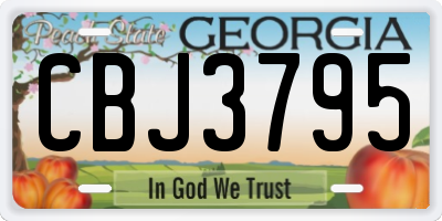 GA license plate CBJ3795