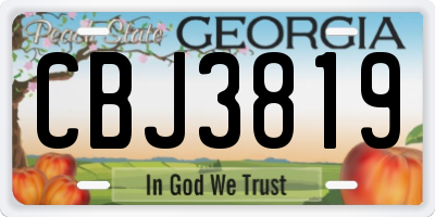 GA license plate CBJ3819