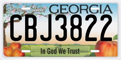 GA license plate CBJ3822