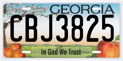 GA license plate CBJ3825