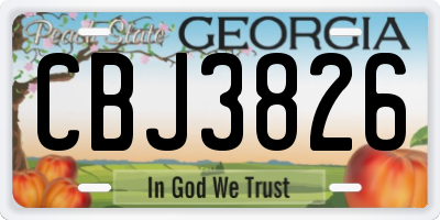 GA license plate CBJ3826