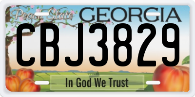 GA license plate CBJ3829