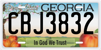 GA license plate CBJ3832