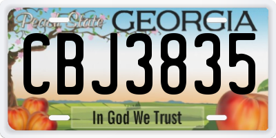 GA license plate CBJ3835