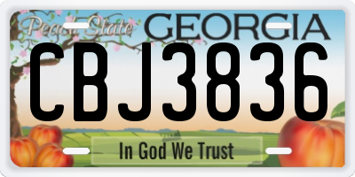 GA license plate CBJ3836