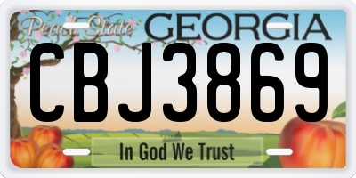 GA license plate CBJ3869