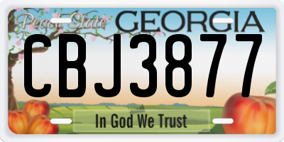 GA license plate CBJ3877