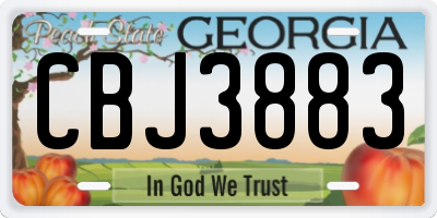 GA license plate CBJ3883