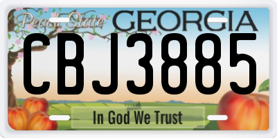 GA license plate CBJ3885