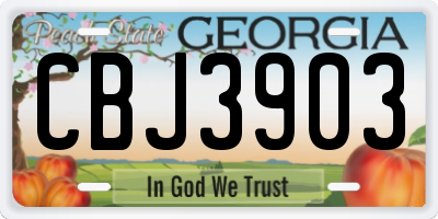 GA license plate CBJ3903