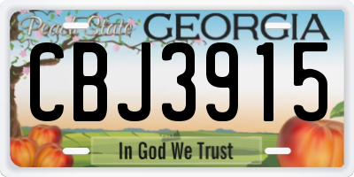 GA license plate CBJ3915