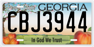 GA license plate CBJ3944