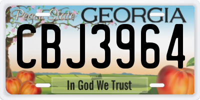 GA license plate CBJ3964
