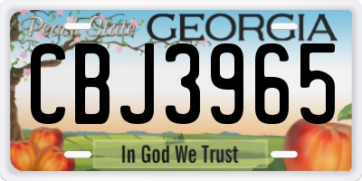 GA license plate CBJ3965