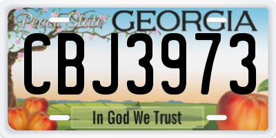 GA license plate CBJ3973