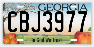 GA license plate CBJ3977