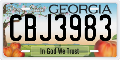 GA license plate CBJ3983