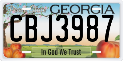 GA license plate CBJ3987
