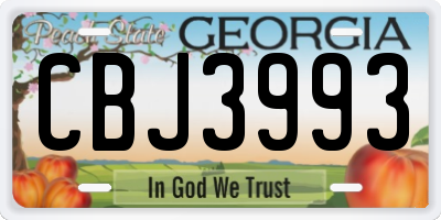 GA license plate CBJ3993