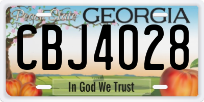 GA license plate CBJ4028