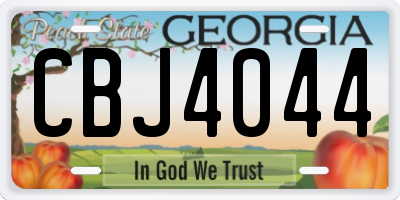 GA license plate CBJ4044