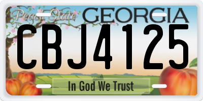 GA license plate CBJ4125