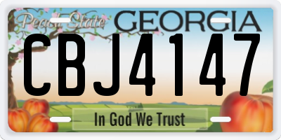 GA license plate CBJ4147