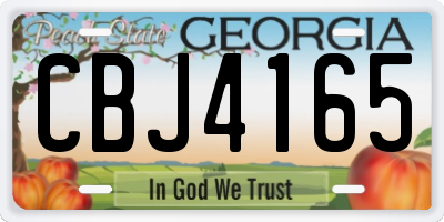 GA license plate CBJ4165