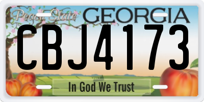 GA license plate CBJ4173