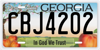 GA license plate CBJ4202