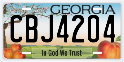 GA license plate CBJ4204