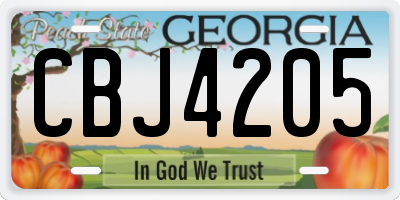 GA license plate CBJ4205