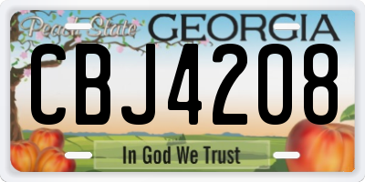 GA license plate CBJ4208